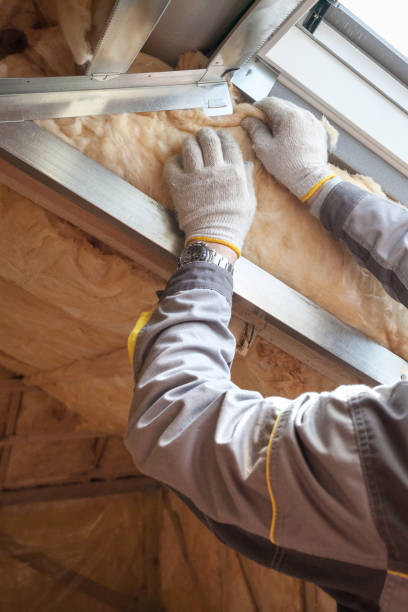 Best Spray Foam Insulation  in Harlem, GA